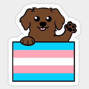 Love is Love Puppy - Brown Lab Trans Sticker